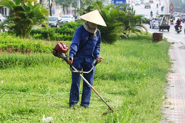 vận hành máy cắt cỏ honda